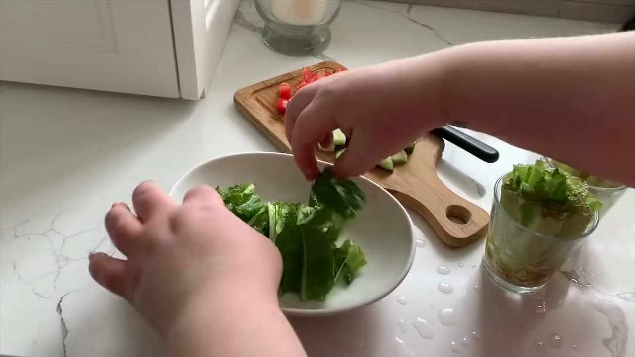 The finished result: How to Regrow Lettuce From Scraps in Water