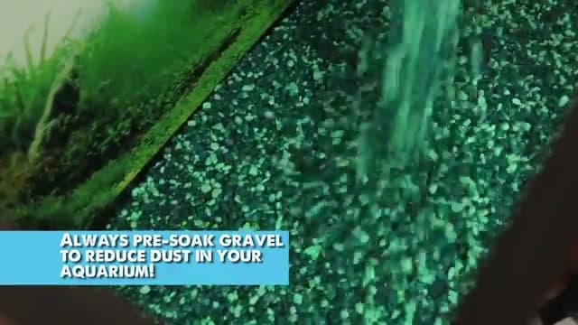 Step 2: Rinse and Add the Gravel