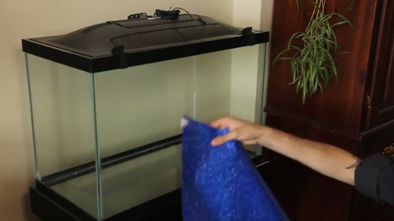 Step 1: Rinse the Tank and Add the Background