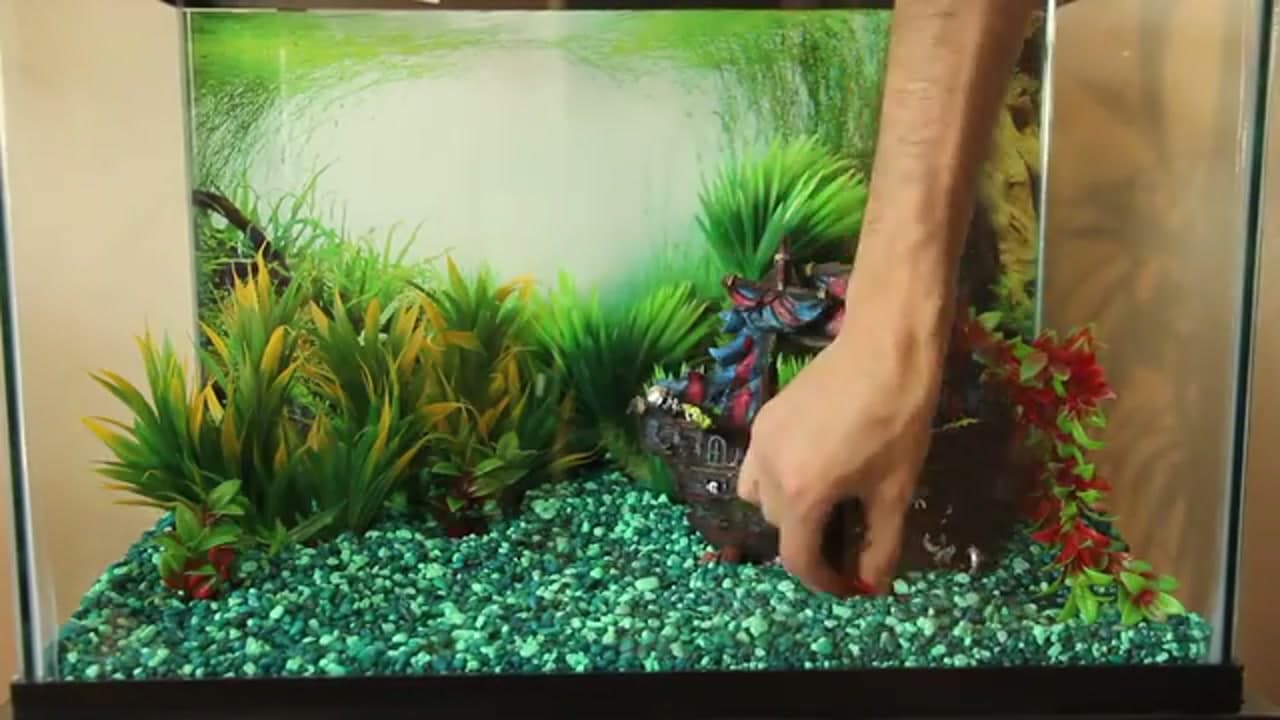Step 3: Add Your Plants and Decorations