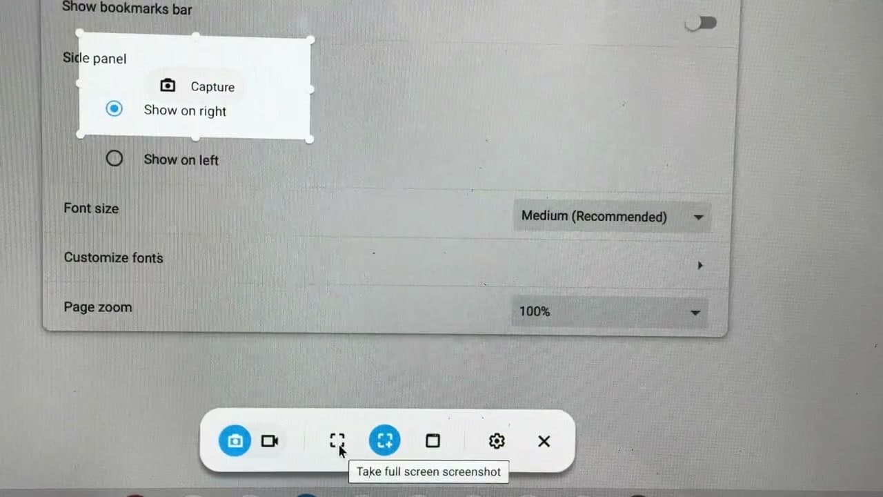 Step 2: Click the Full-Screen Icon to Grab Everything