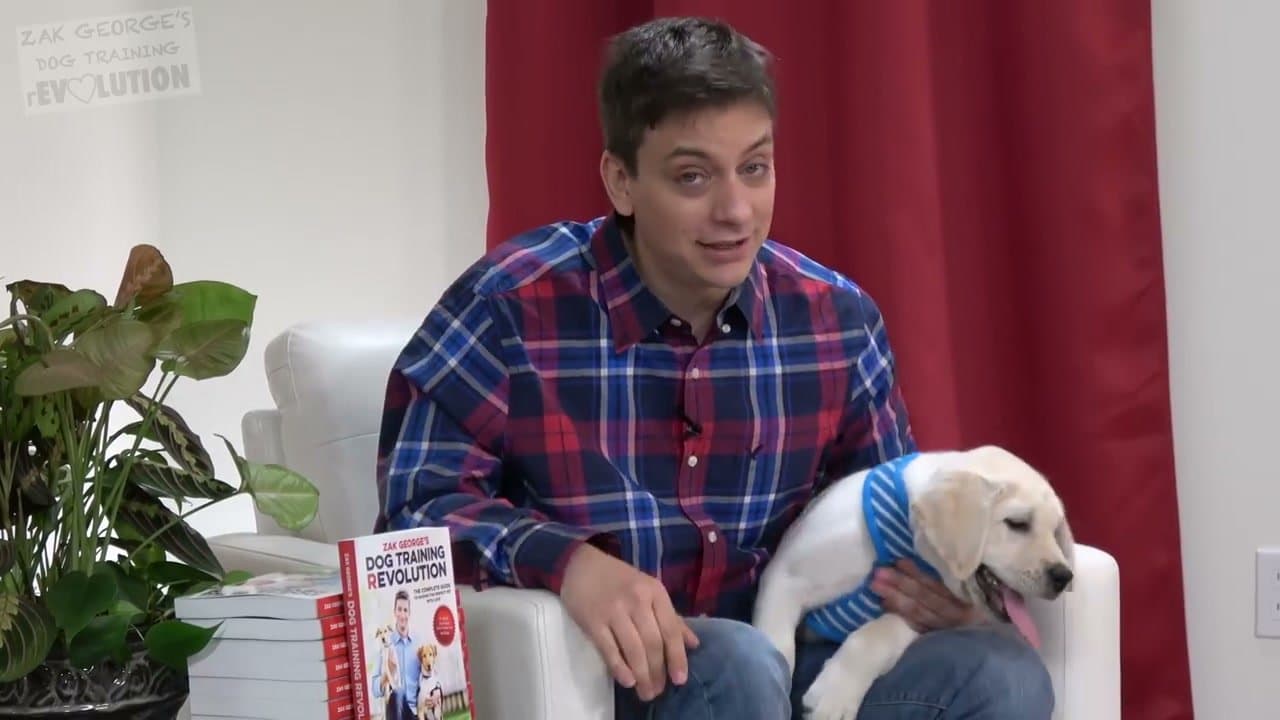 Step 3: Exercise in the Morning and Throughout the Day