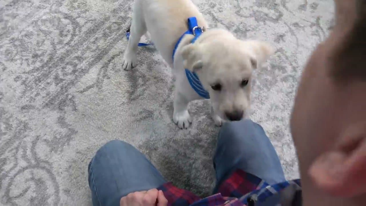 Step 7: Launch a Quick Training Session When Biting Starts