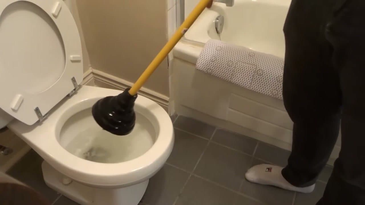 How to Plunge a Toilet
