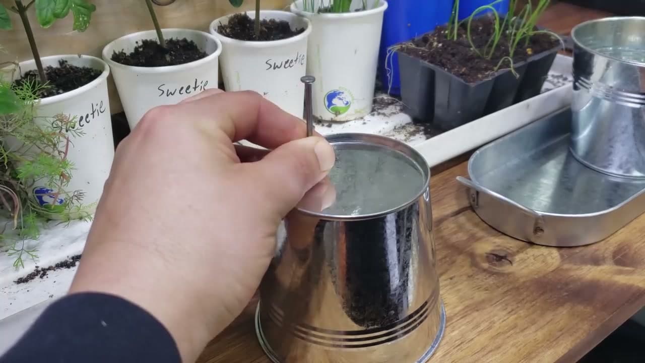 Step 2: Step 2: Pick Containers With Drainage