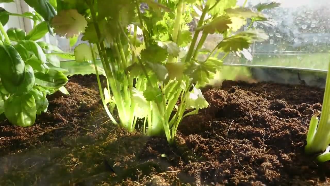 Step 3: Step 3: Set Up Your Lighting
