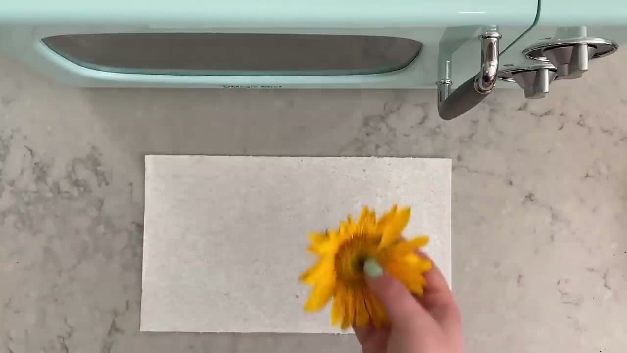 Step 3: Step 3: Layer the flowers between paper towels