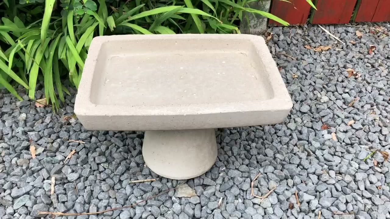 Step 7: Step 7: Set It in the Garden