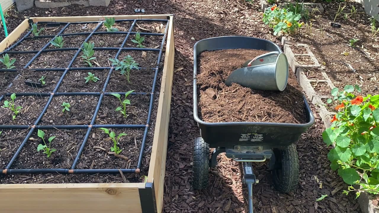 Step 2: Step 2: Mulch After the Soil Warms - Not Before