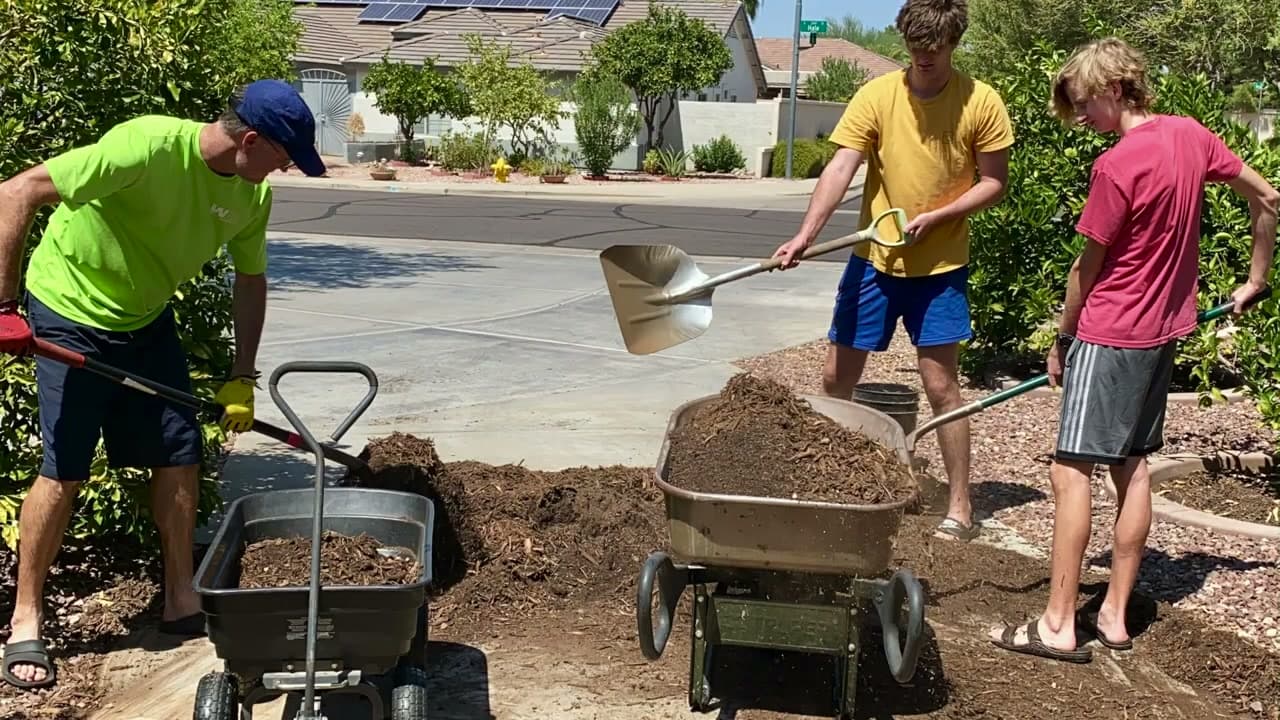Step 3: Step 3: Pick a Mulch Type That Matches Your Bed