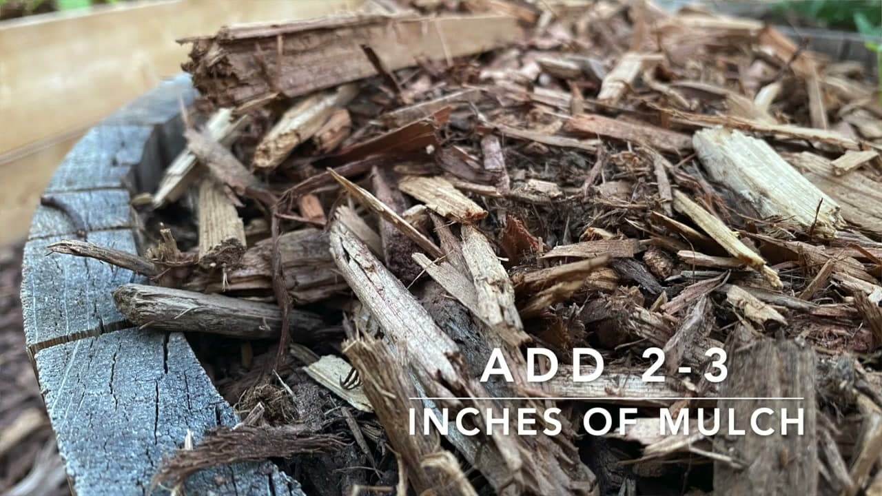 Step 5: Step 5: Spread 2-3 Inches Deep, Not More