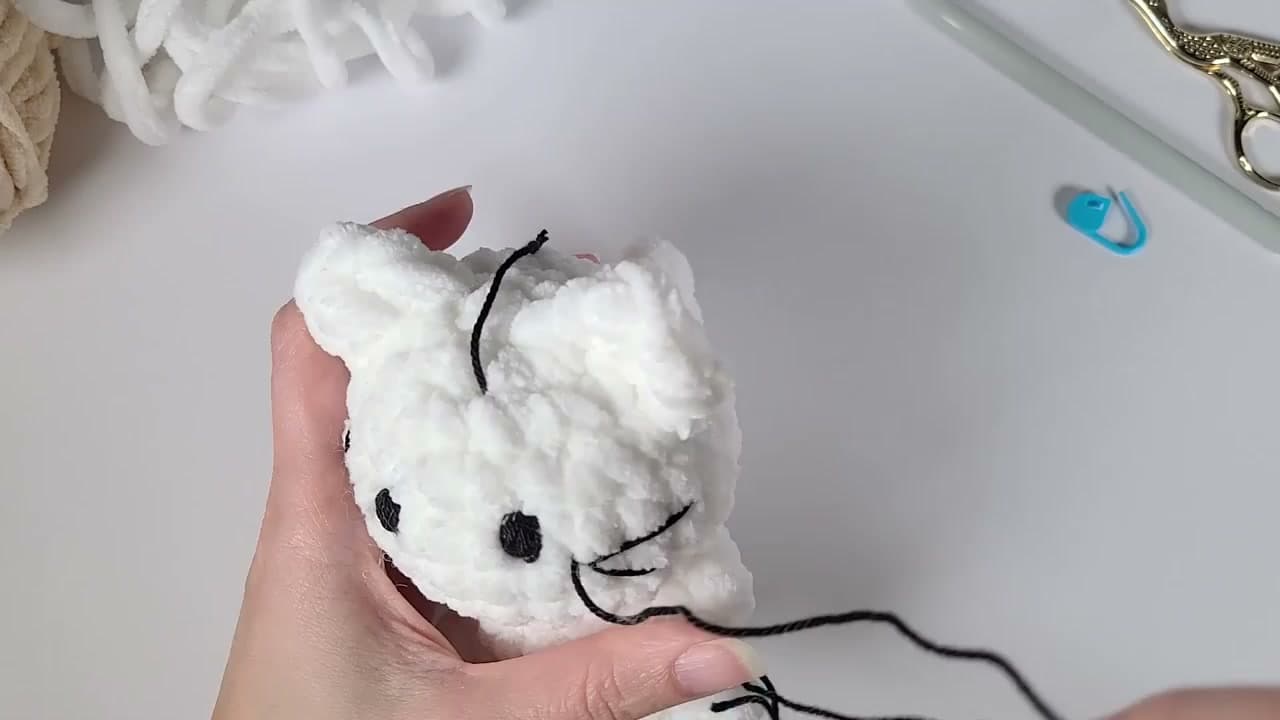 Step 9: Step 9: Embroider the Eyes, Nose, Whiskers, and Stripes