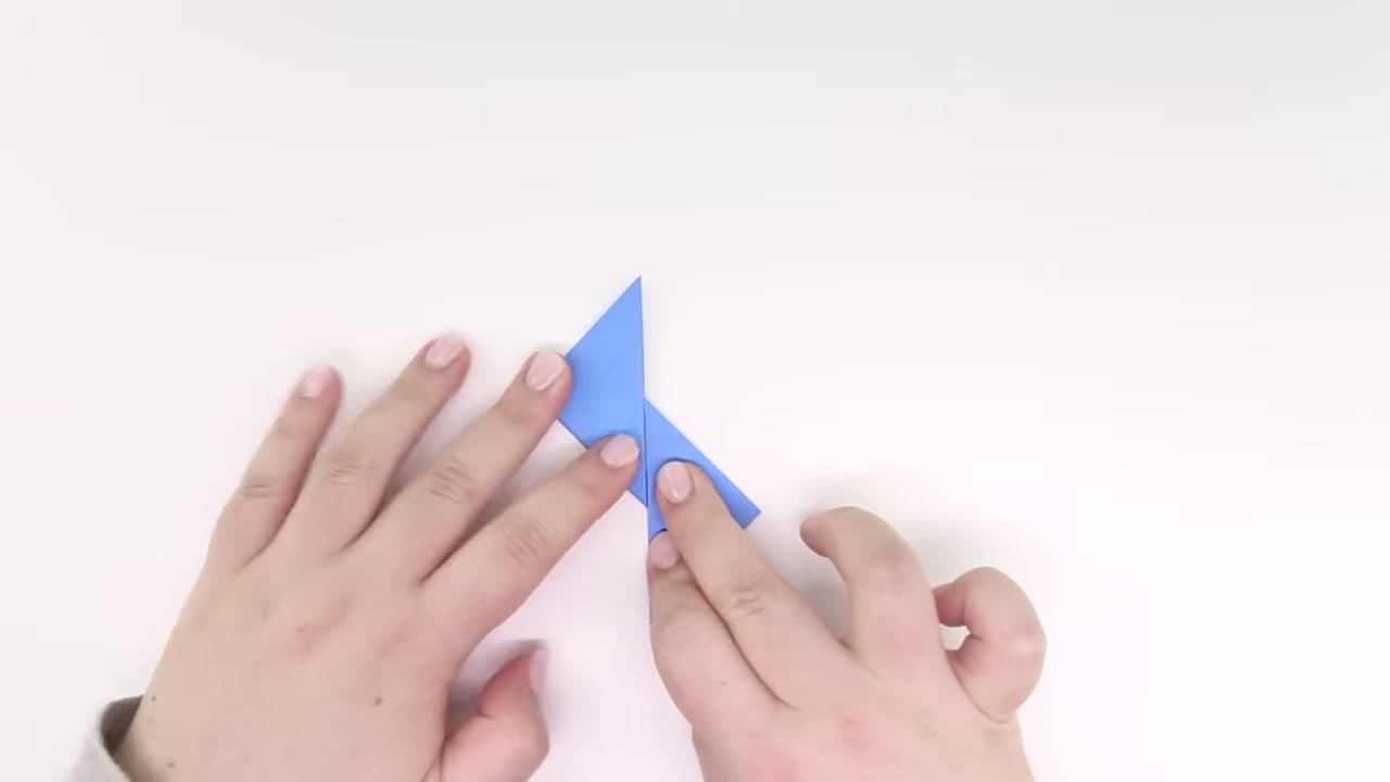Step 5: Step 5