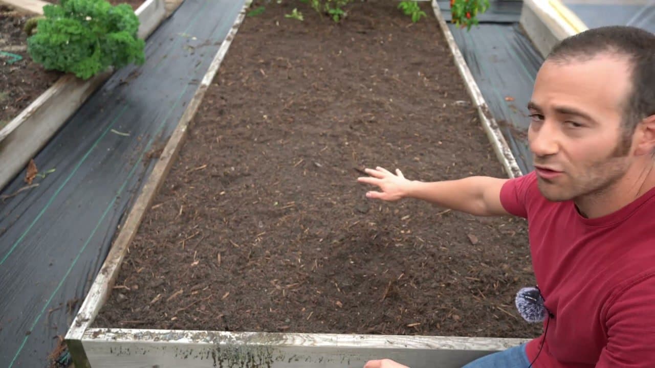 Step 2: Loosen the Soil in Your Bed