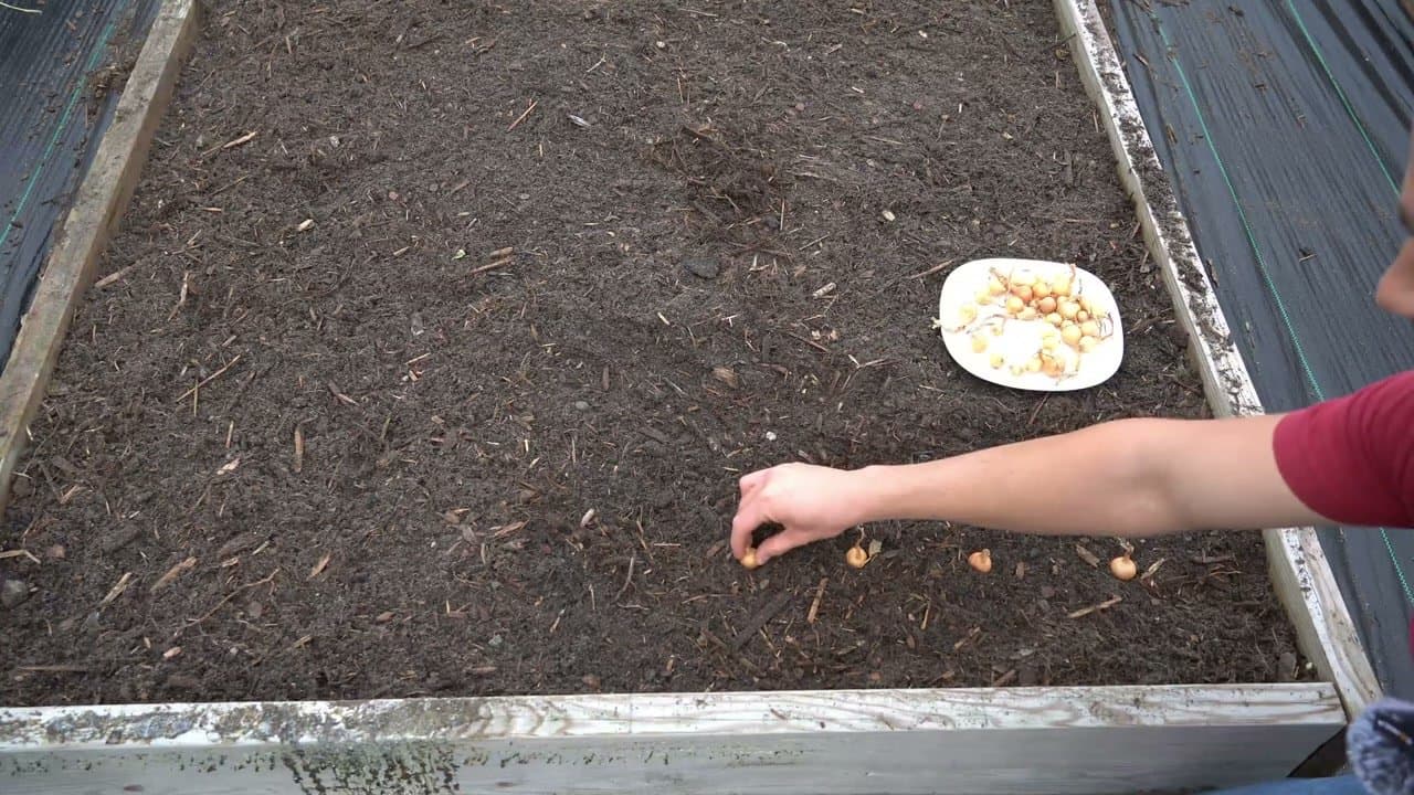 Step 3: Space the Sets 4 Inches Apart