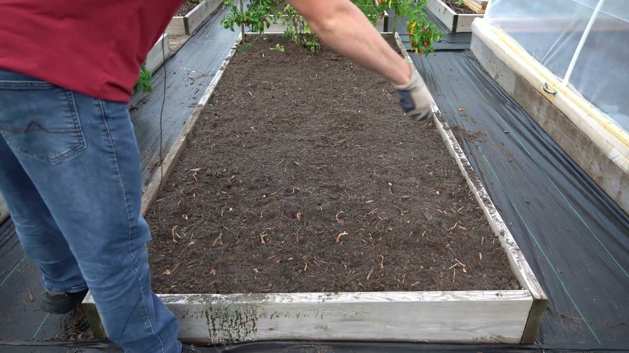 Step 5: Sprinkle Slow-Release Organic Fertilizer