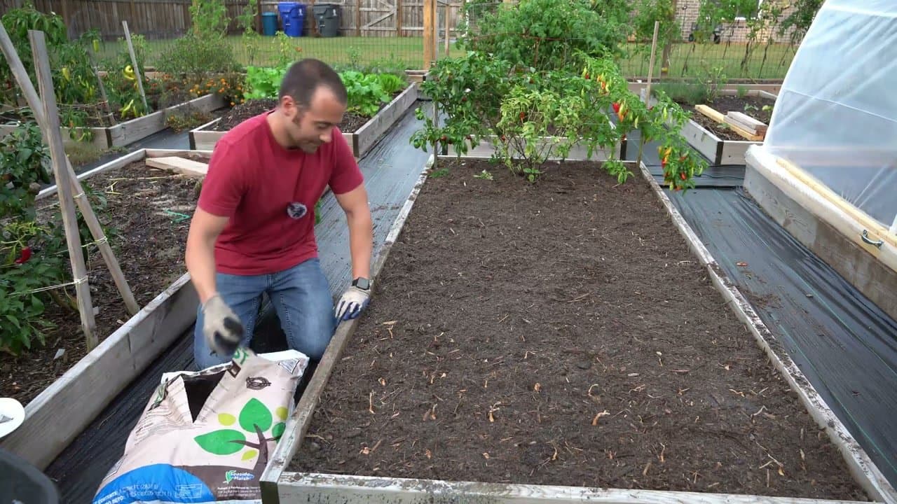 Step 6: Backfill with Cow Manure Compost