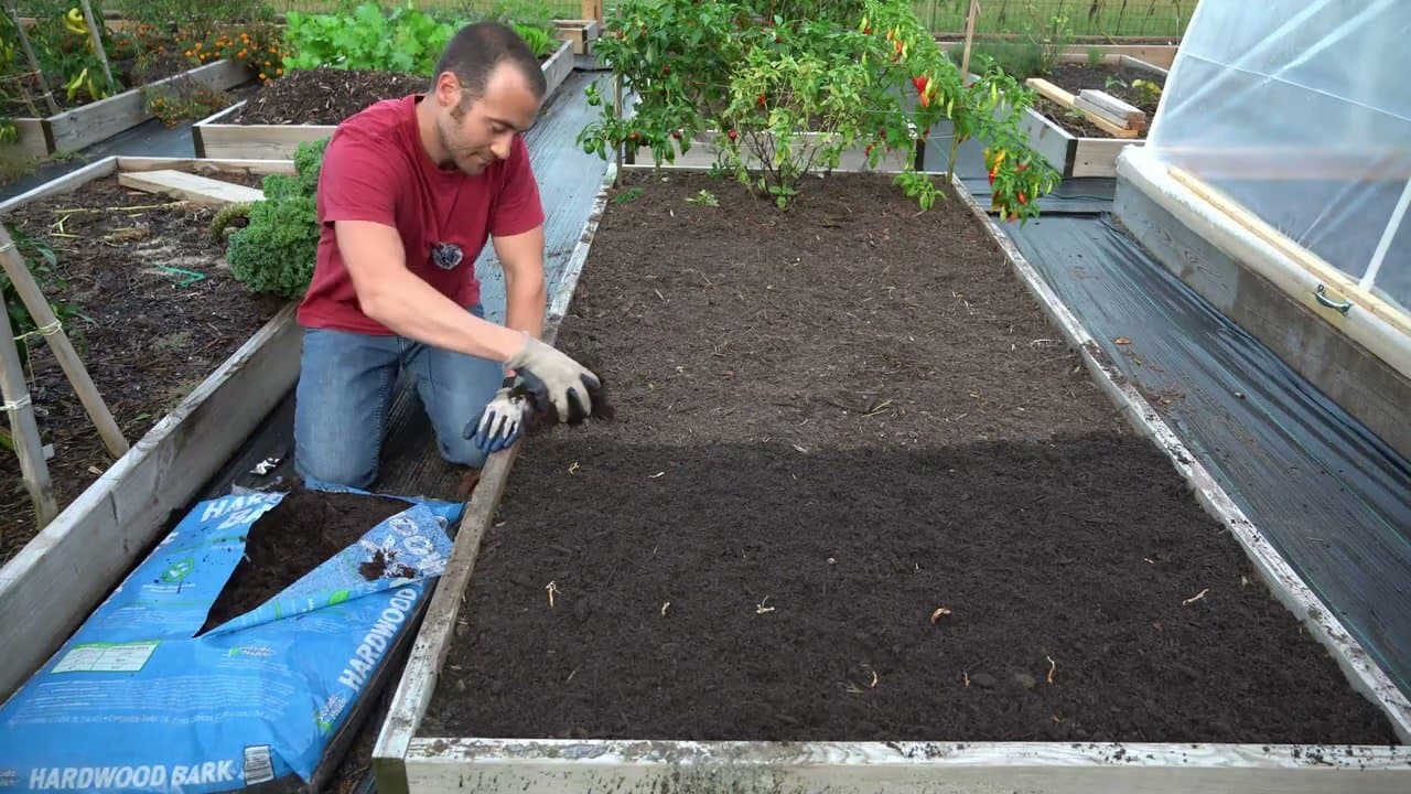 Step 7: Cover the Bed with Natural Mulch
