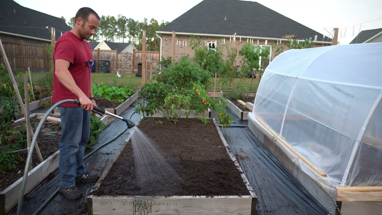 The finished result: How to Plant Onion Sets the Right Way