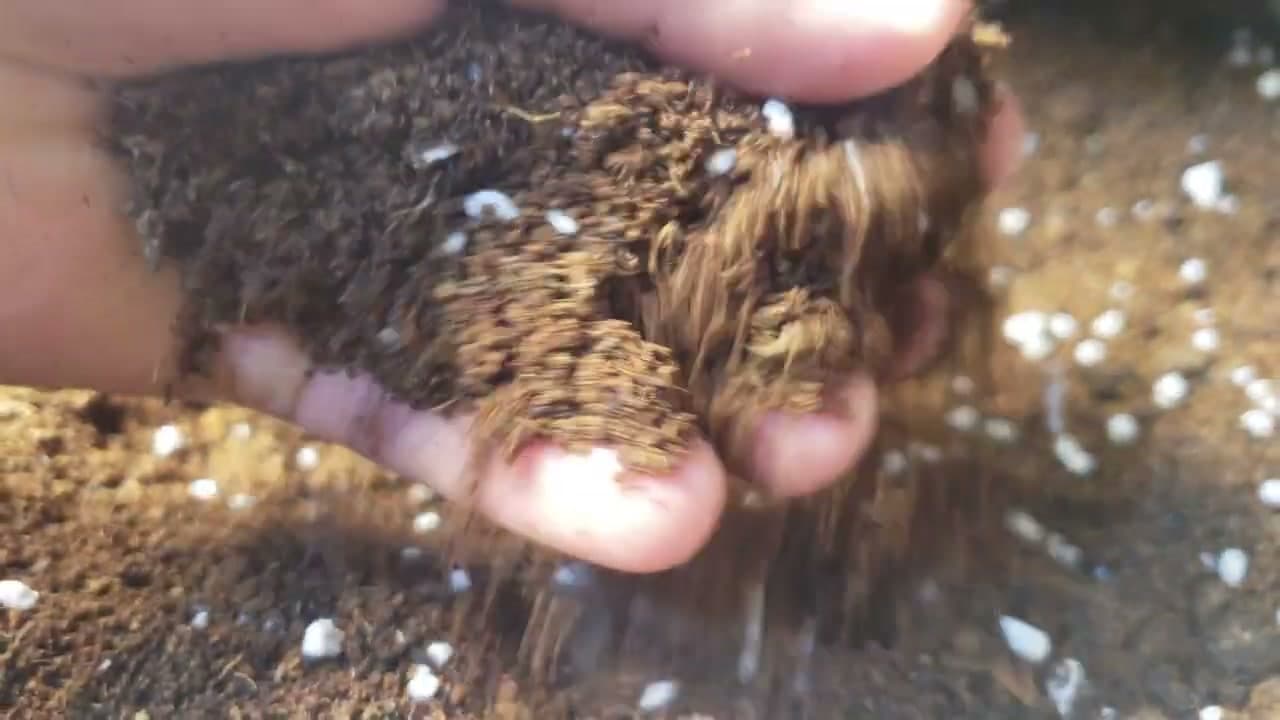 Step 2: Step 2: Use a Proper Seed-Starting Mix