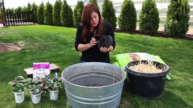 Step 1: Step 1: Pick a Wide Container and Prep the Drainage