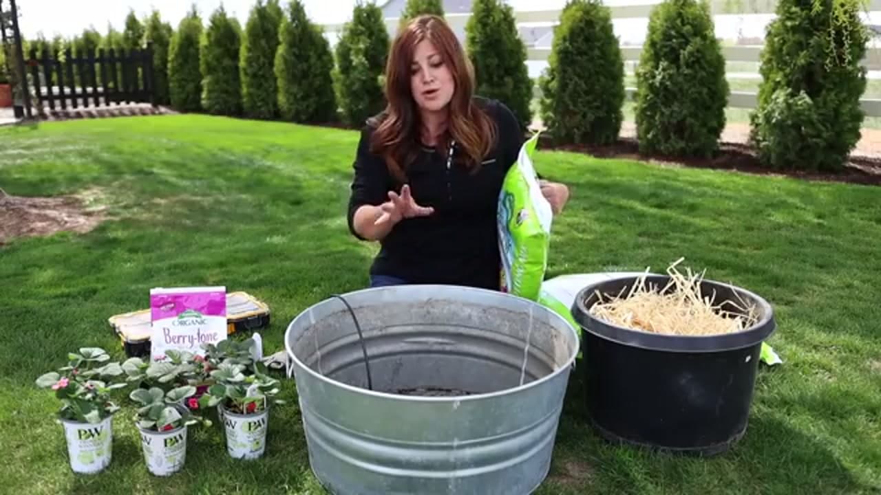 Step 2: Step 2: Fill the Container with Potting Mix