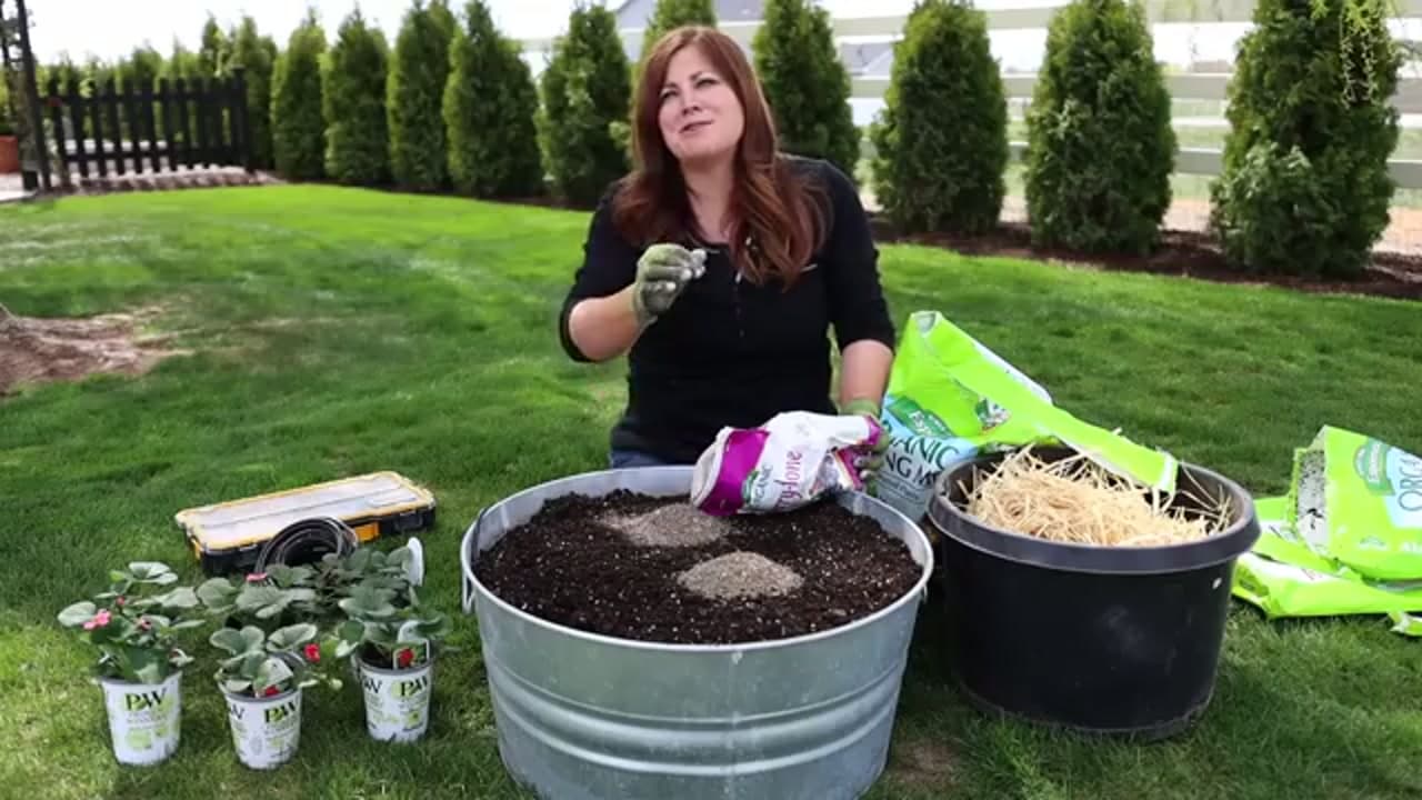 Step 3: Step 3: Mix in a Slow-Release Berry Fertilizer