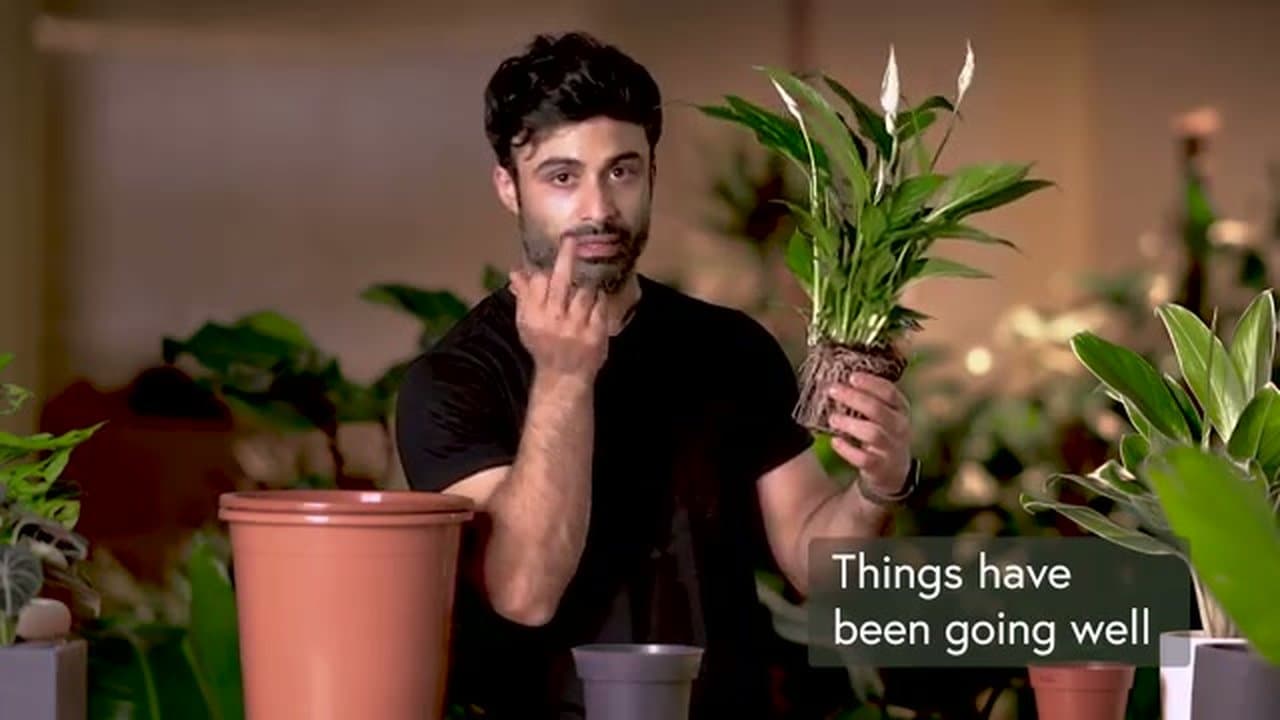 Step 2: Slide the Plant Out and Inspect Roots