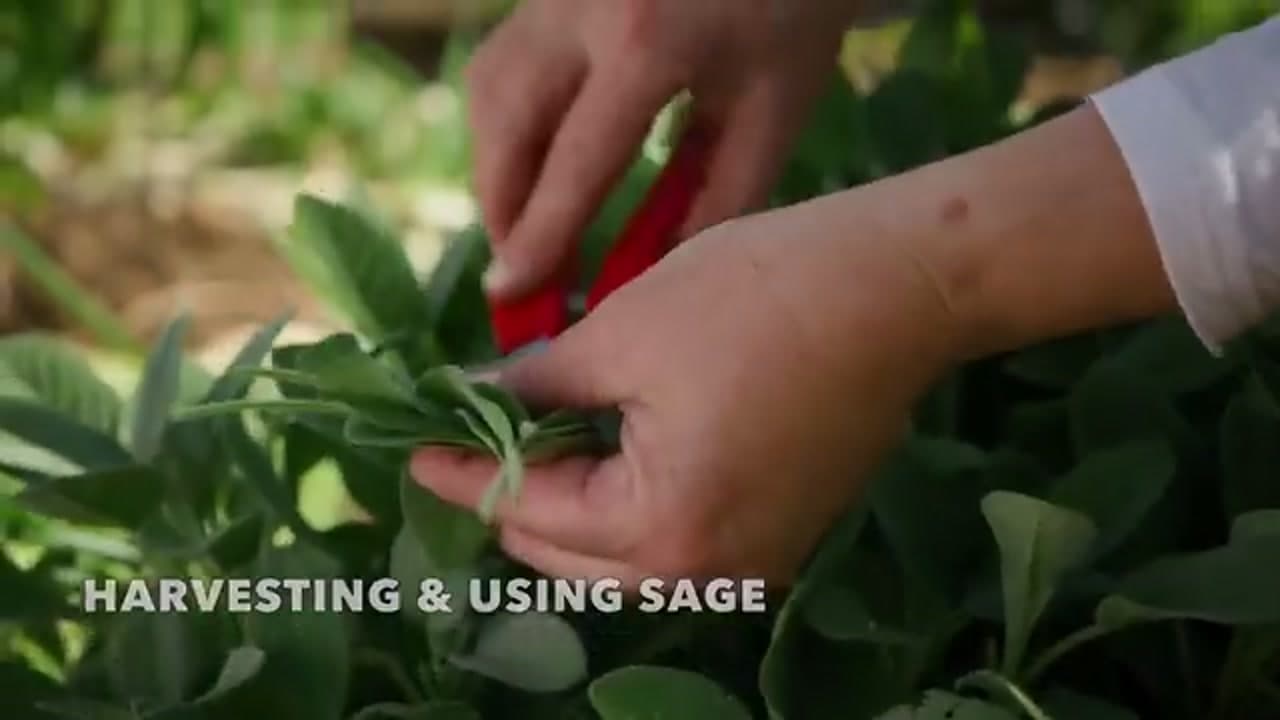Step 2: Step 2: Cut, Don't Tear