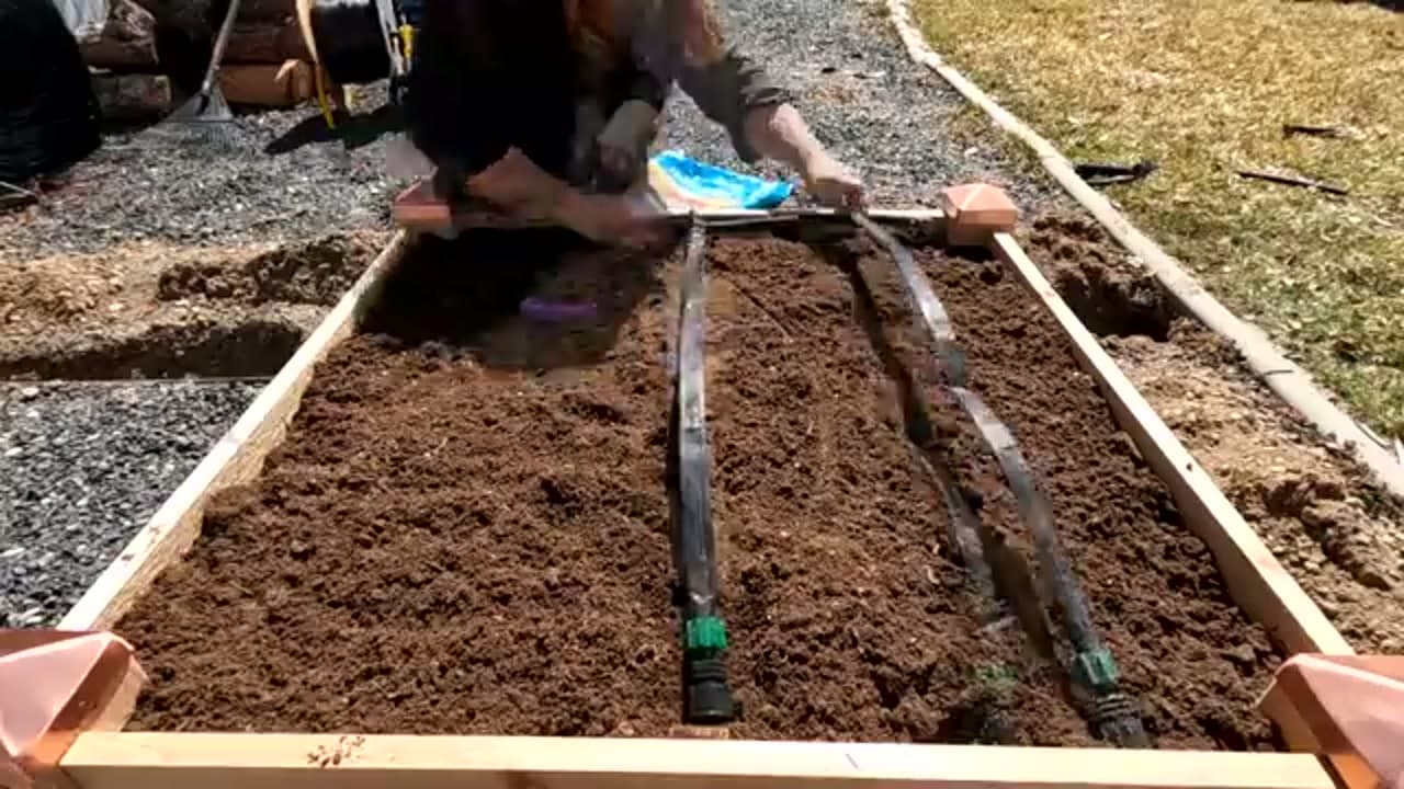 Step 5: Lay Drip Tubing Along Each Bed