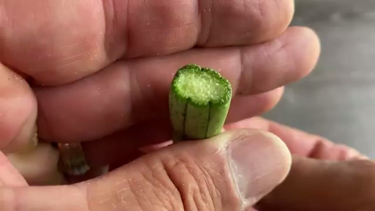Step 3: Step 3: Cut the Leaf into Segments