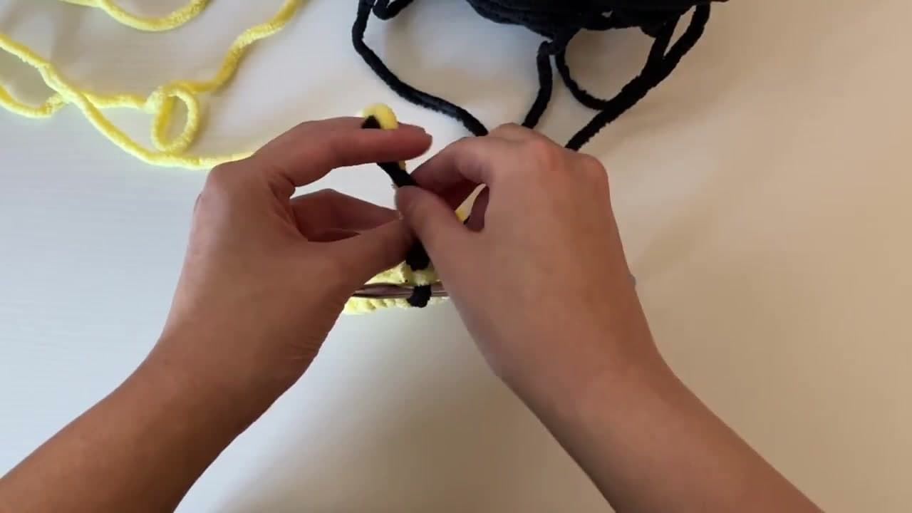 Step 3: Step 3: Change to Black Yarn for the First Stripe