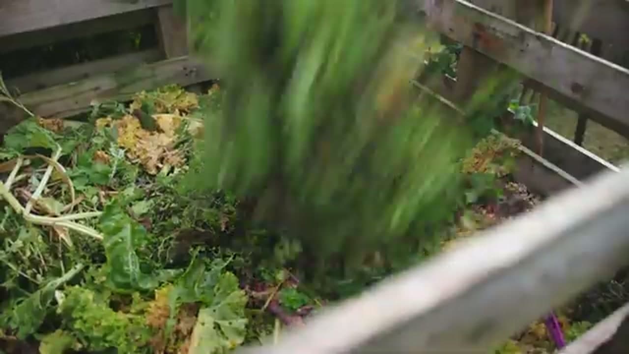 Step 3: Add Your Greens