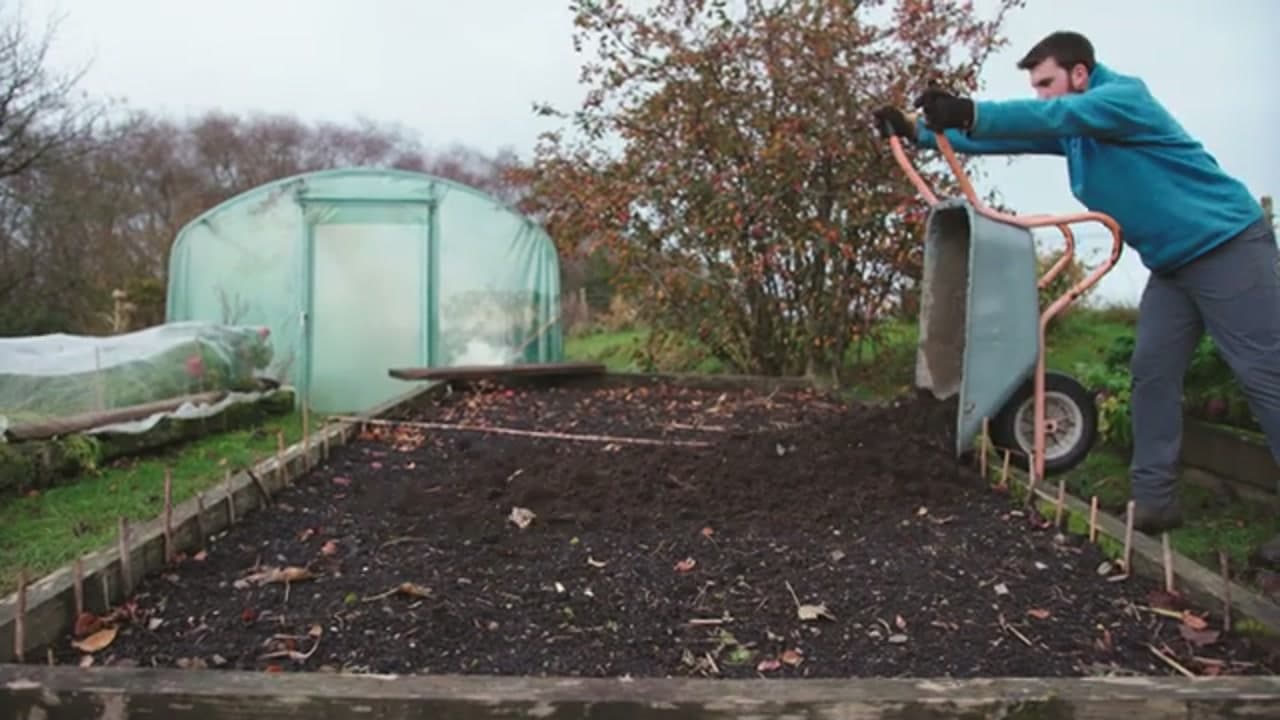 The finished result: How to Compost at Home for Beginners