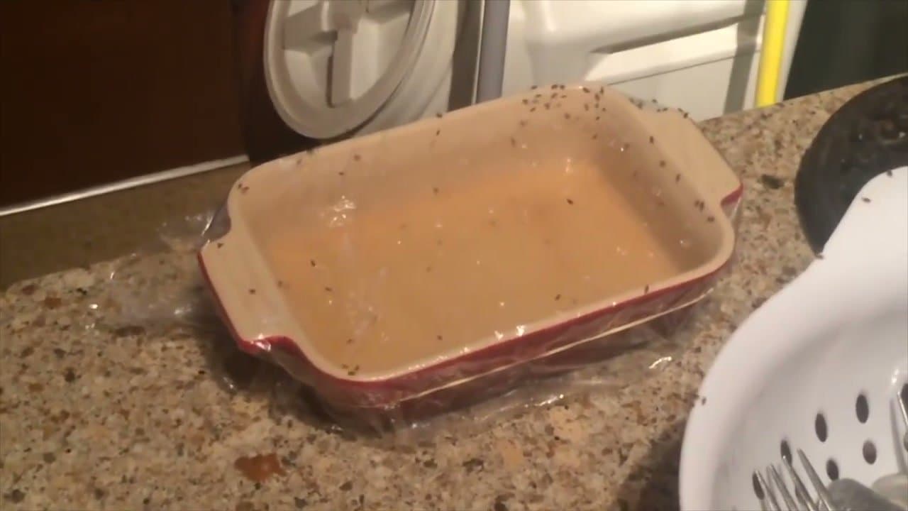 Step 4: Step 4: Set a trap in every room