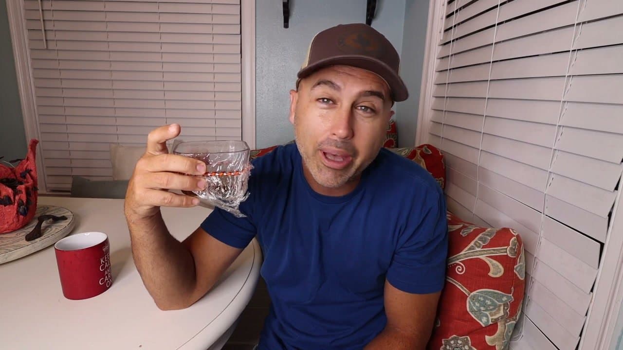 The finished result: How to Get Rid of Fruit Flies