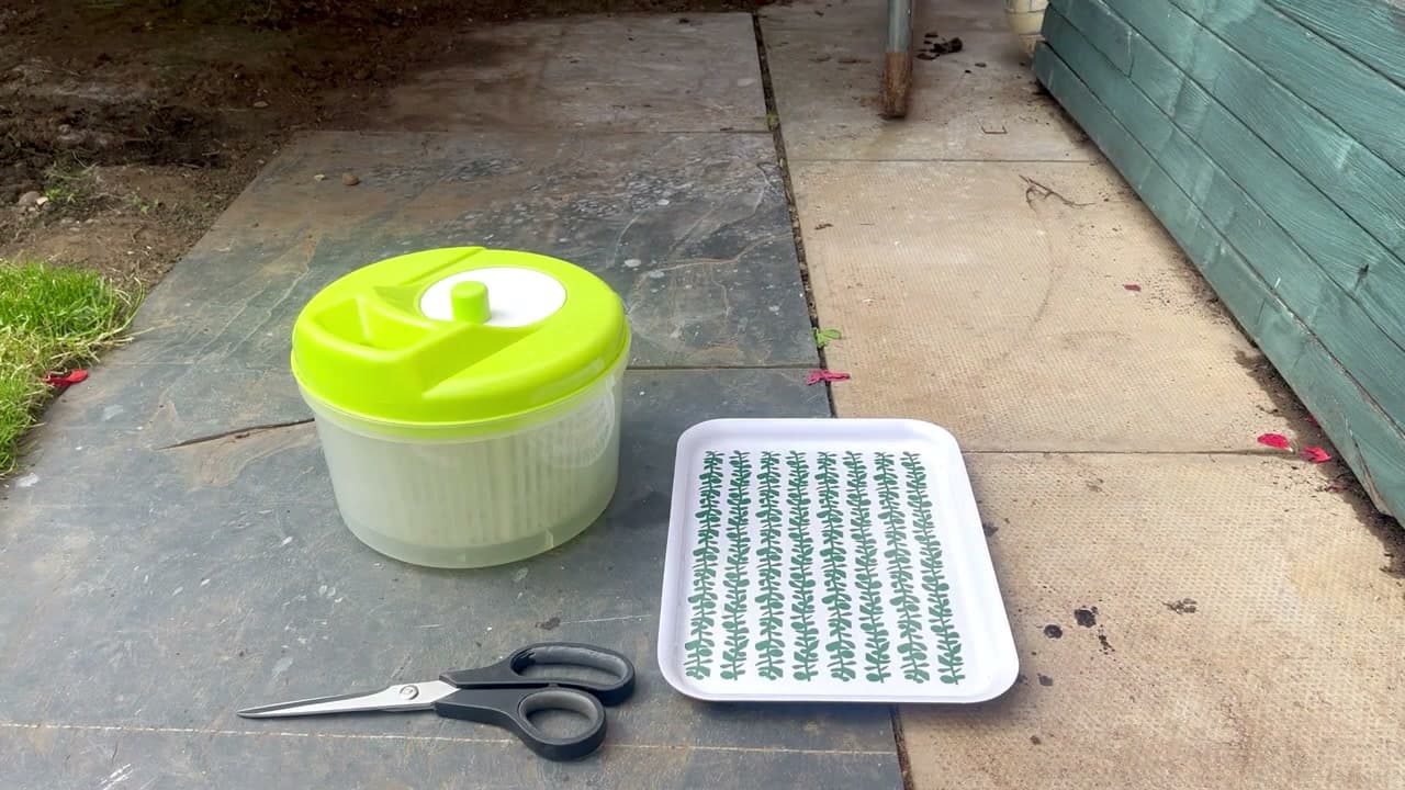 Step 1: Step 1: Gather Your Tools