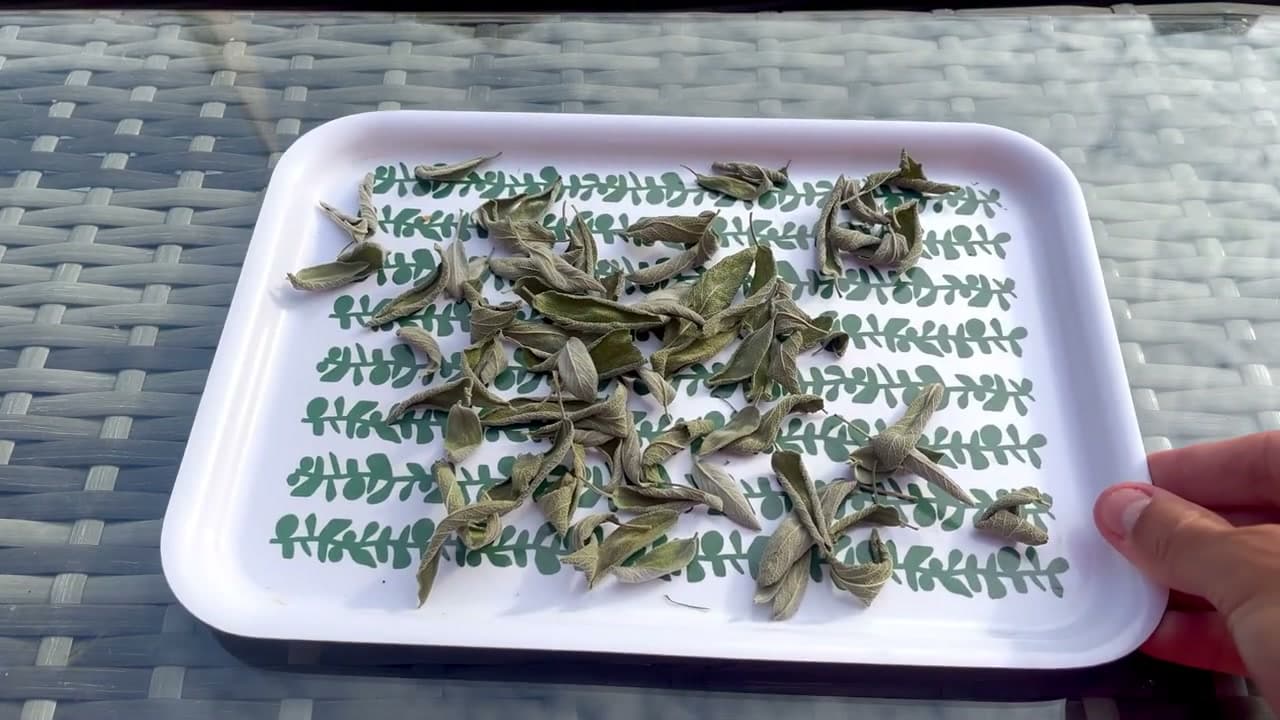Step 6: Step 6: Check the Leaves Are Crisp