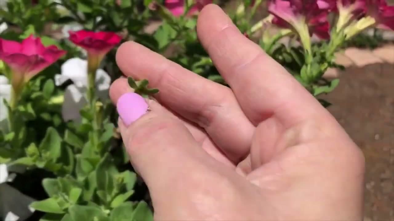 Step 5: Check What's Left on the Stem