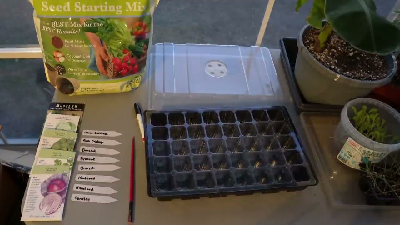 Step 1: Step 1: Gather Your Seed-Starting Supplies