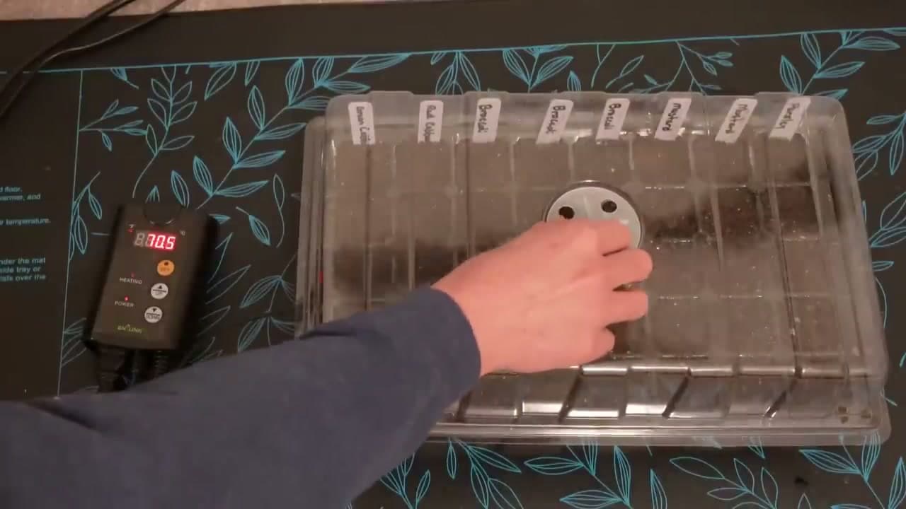 Step 10: Step 10: Cover with the Humidity Dome (Vent It Slightly)