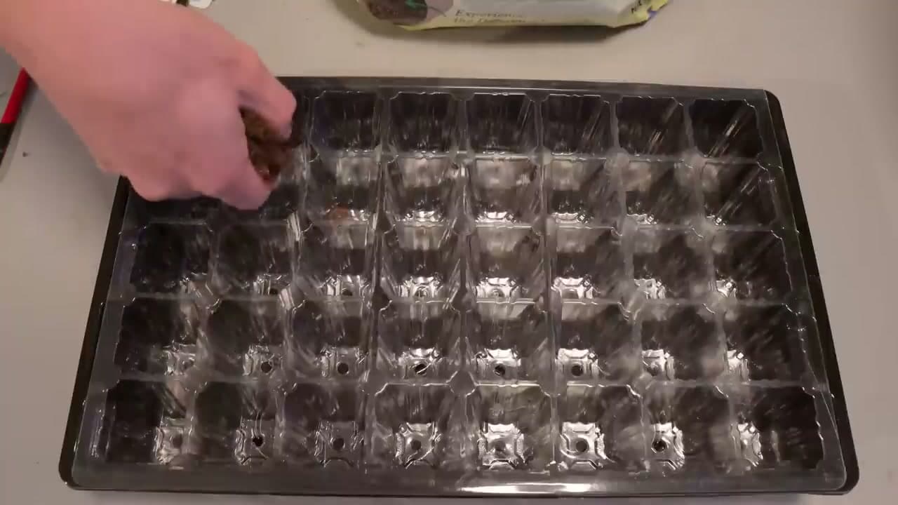 Step 2: Step 2: Fill the Tray with Seed-Starting Mix