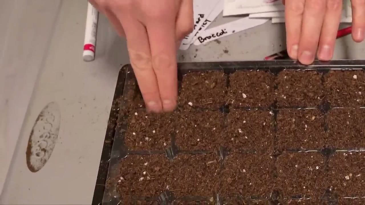 Step 3: Step 3: Press the Mix Down to Make Room for Seeds