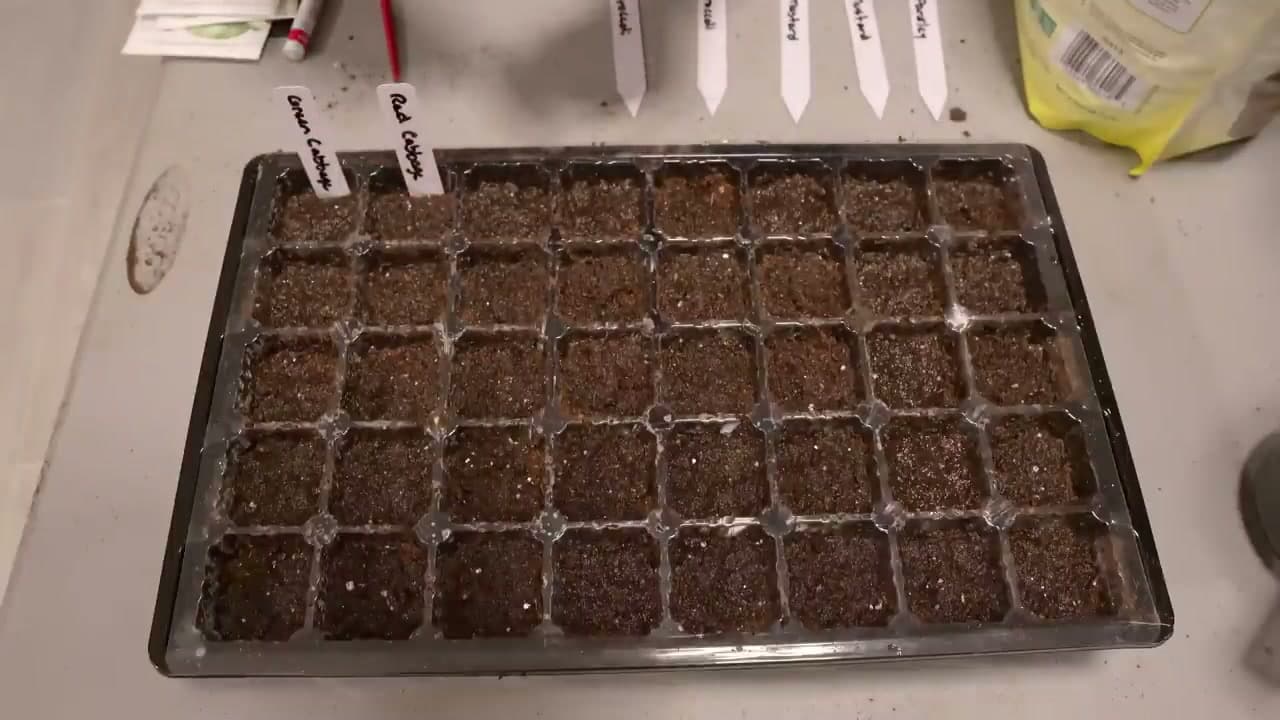 Step 5: Step 5: Add Plant Labels Before You Sow