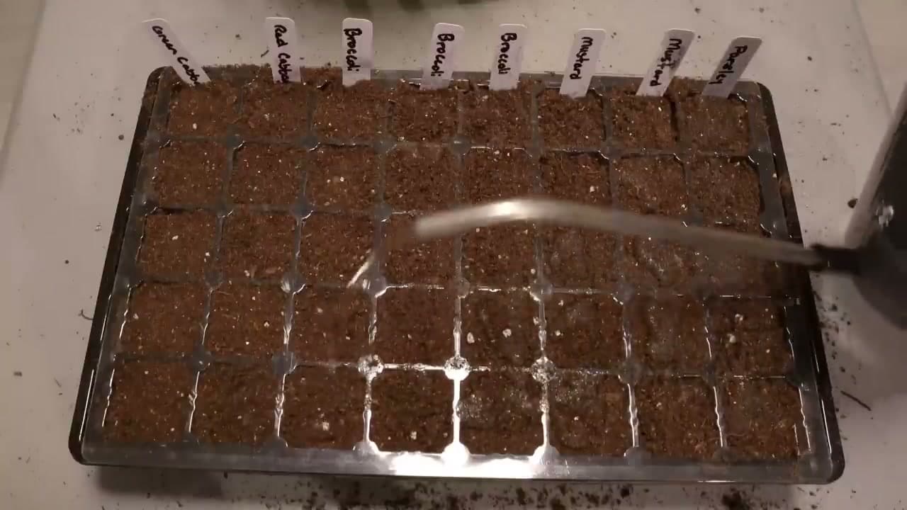 Step 8: Step 8: Water the Top Layer Lightly