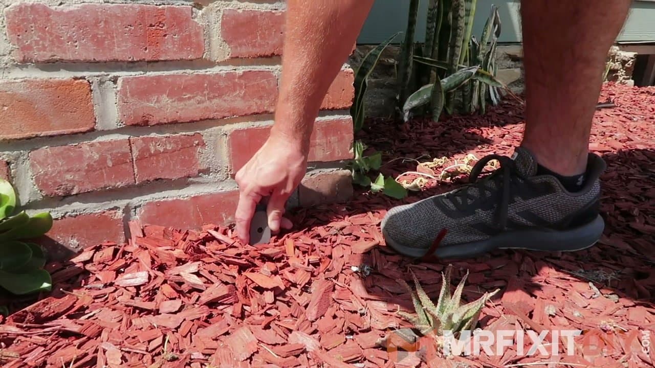 The finished result: How to Get Rid of Ants