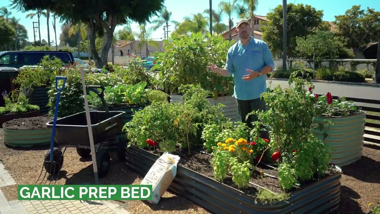 Step 3: Choose a Full-Sun Bed with Loose Soil