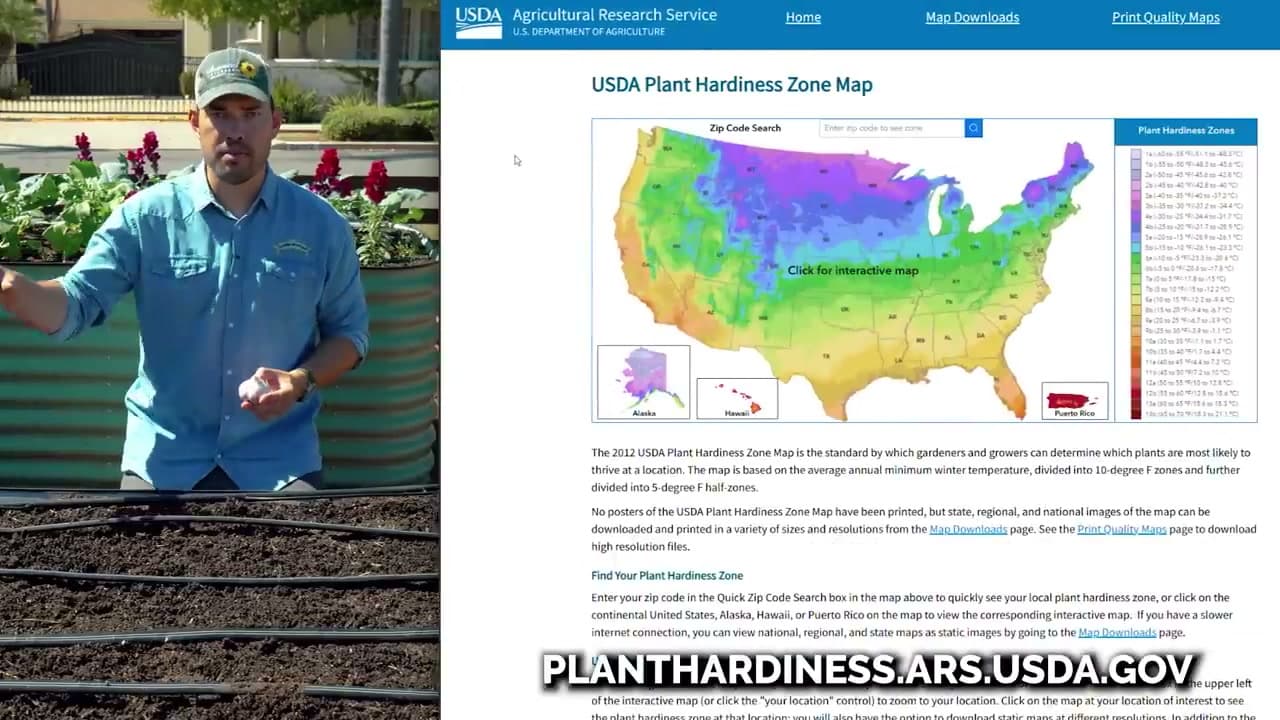 Step 5: Time the Planting to Your Growing Zone