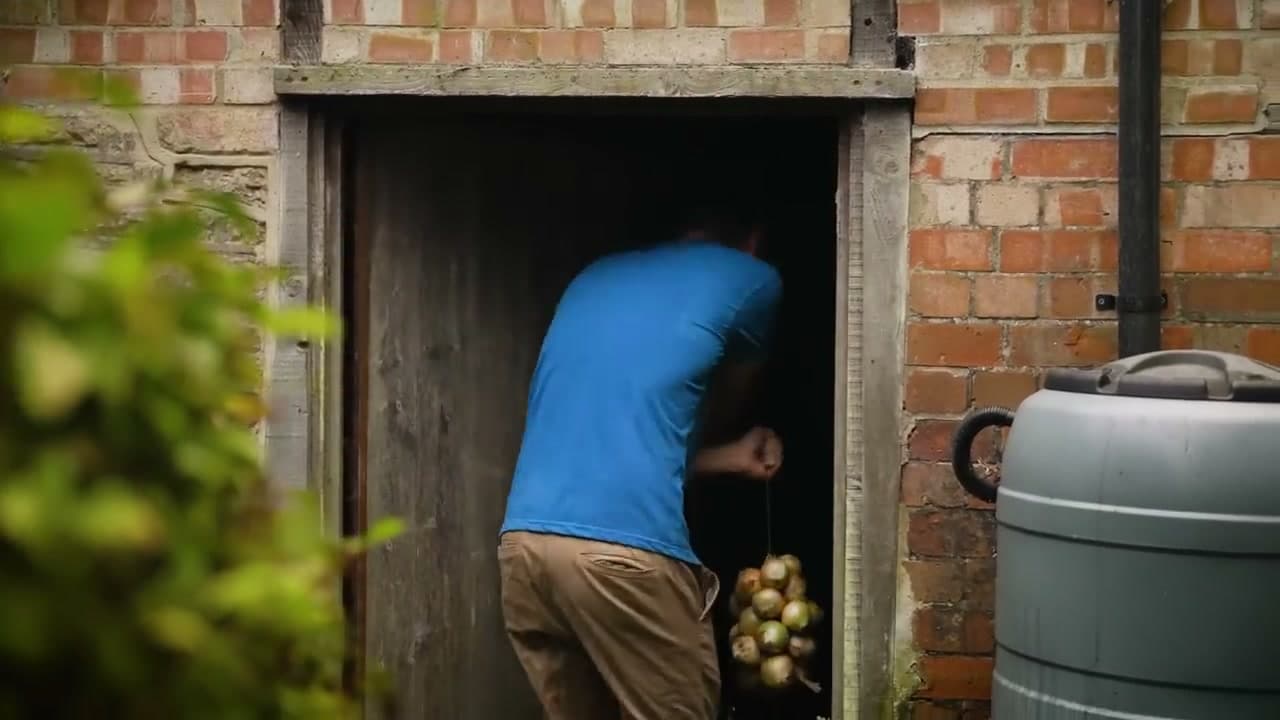 The finished result: When to Harvest Onions