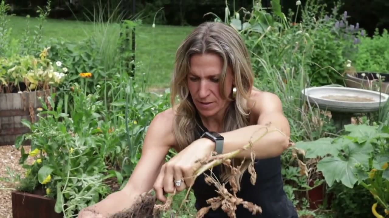 Step 7: Brush Off Soil and Cure for 1 to 2 Weeks